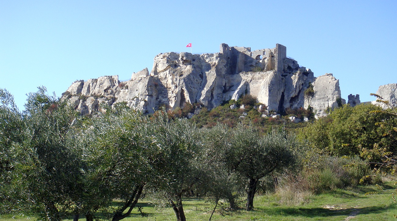 Image 7