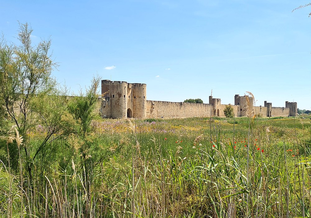 Image 11